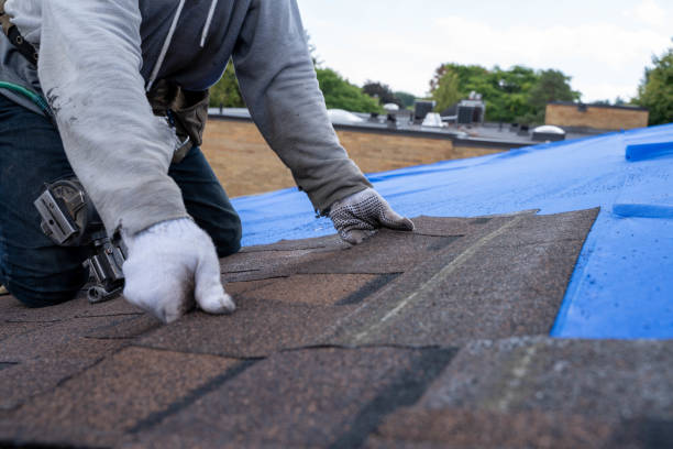 Best Roof Gutter Cleaning  in Verona, KY
