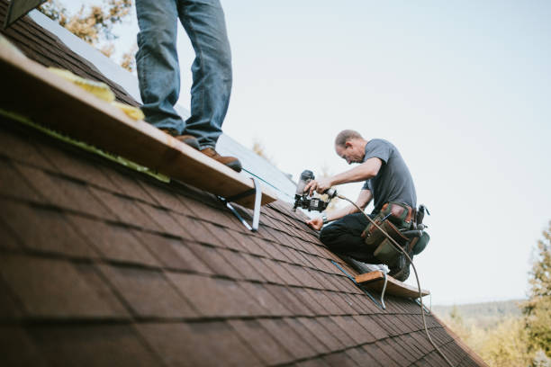 Best Flat Roof Repair Services  in Verona, KY