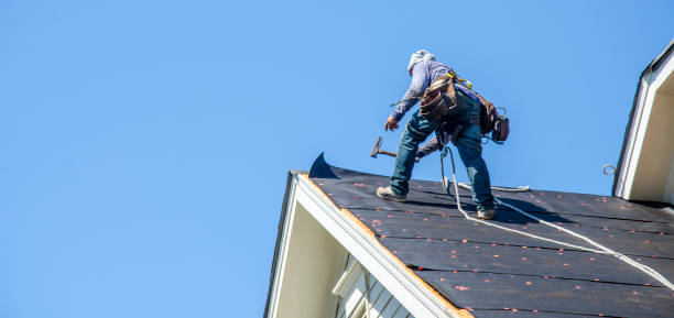 Roof Gutter Cleaning in Verona, KY